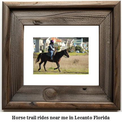 horse trail rides near me in Lecanto, Florida